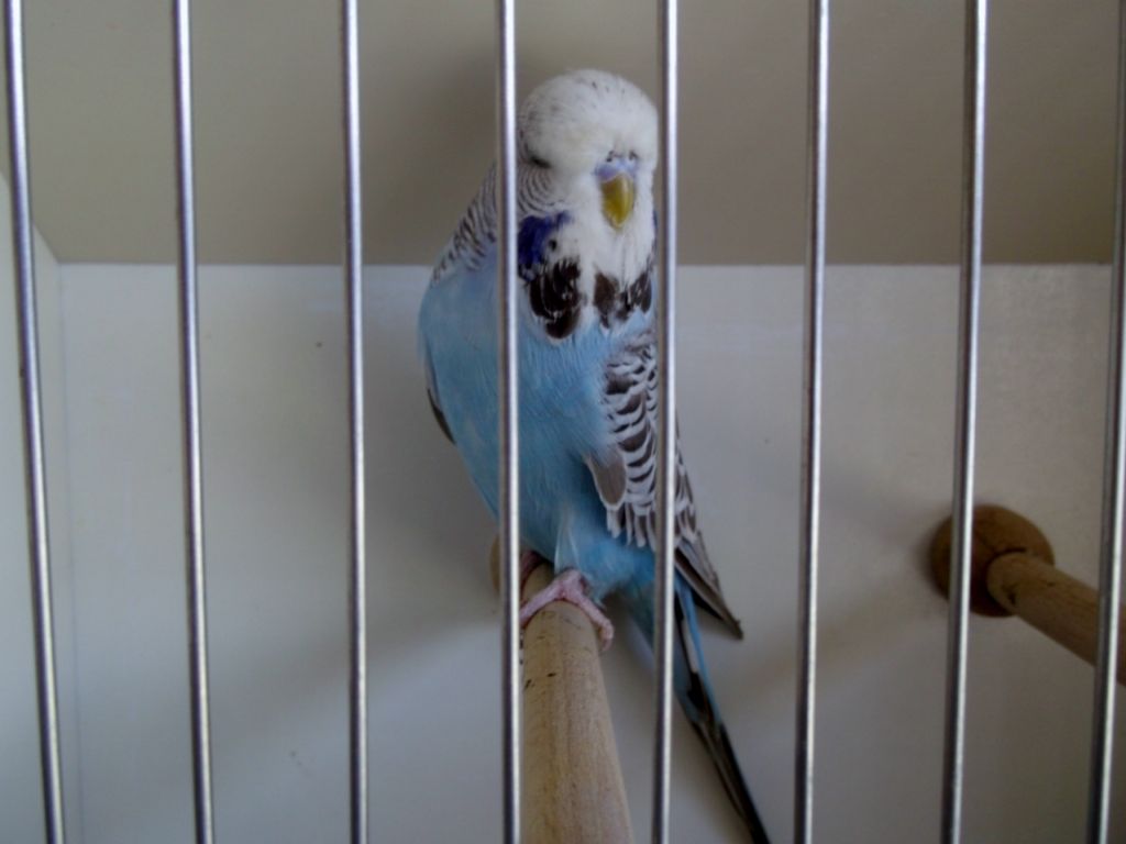 2015 026.jpg